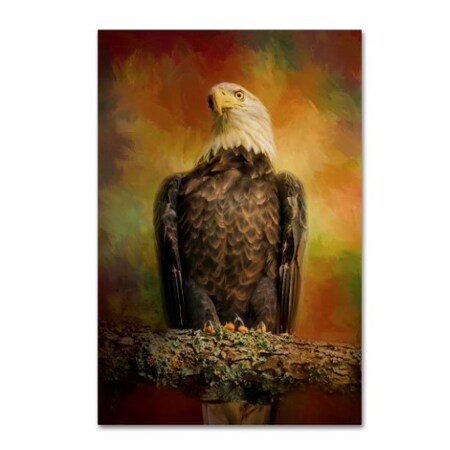 Trademark Fine Art Jai Johnson 'The Bald Eagle In Autumn' Canvas Art, 12x19 ALI14906-C1219GG